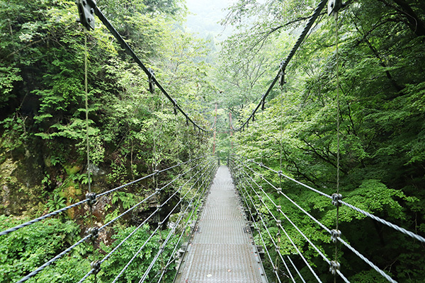 原不動滝への道「かえで橋」