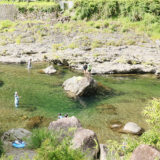 冷たい水にひゃっほー！天川村庵の郷で川遊びキャンプ！