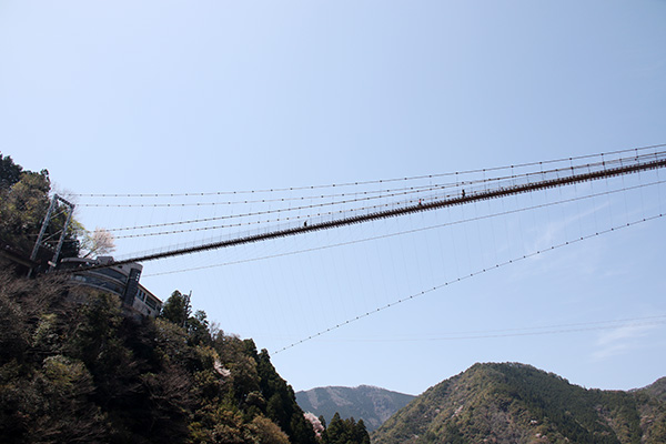 谷瀬の吊橋を見上げる