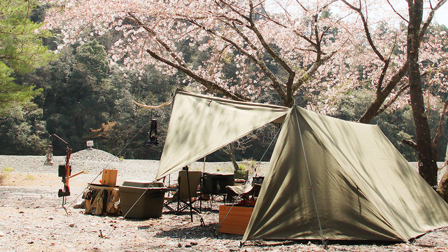 桜とソロベース／つり橋の里で花見キャンプ
