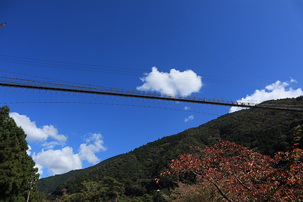下から見上げる谷瀬の吊り橋